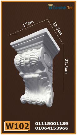 كابولي فيوتك(W102)-مقاسات الموديل:22.3*12.5*17 cm